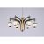 Ch Tanaz Neon Hg 21616/6