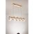 Ch Wendy Mx Glow Hg 57028-5