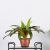 Flower Pot With Plate - Copper - KD5801S+130S