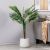 Mini Palm W/Pot A102Kaf - 110Cm