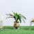 Butterfly With Sunflower Planter