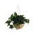 Hanging Flower Pot - Beige