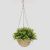 Hanging Plants With Basket - Beige