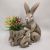 Mgo Rabbit Mom & Baby Planter - Yz05-2001-45