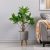 Magnolia W/Pot F868Kc - 90Cm