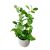 Artificial Plants With Cement Pot