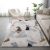 Rugs Microfiber Printed 160X230 Sr22 - Pz21-46
