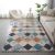 Rugs Microfiber Printed 160X230 Sr22 - U-21000