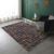 Rugs Microfiber Printed 160X230 Sr22 - U-211257