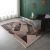 Rugs Microfiber Printed 80X150 Sr22-Y-119M