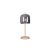 Jonathan Metal Table Lamp With Smoky Glass Shade