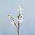 Rejoice Sakura H94Cm L15042/Crz Cream