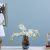 Aw20 Rejoice White Cymbidium Orchid L76Cm L19418/Wh