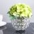Aw21 Rejoice Hydrangea Bunch L24Cm L20885/Gr