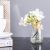 Aw21 Rejoice White Narcissu Vase H16Cm L22071/Wh