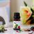 Orchid Burner Oil 10ml- Rasp & Guava