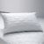 Set Of 2 Quilted Pillow Protector Pillow