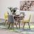 Belinda 1+4 Dining Set - Walnut / Green Yellow / G