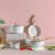 Ss22 Elite 8 Pc Cookware Set Ivory -Fry Pan 26Cm,Sauce Pot 16Cm,Grill Pan 24Cm,Crepe Pan 28Cm,Wok 30Cm,Glass Lid 30Cm,Casserole 28Cm,Lid 28Cm,A100
