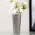 Liana Hammered Vase Silver 12X12X28.5Cm Chc-Hs217016-1