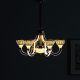 Ch Taiba Neon Hg 81209-6