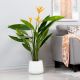 Strelitzia W/Pot A279Kf - 120Cm