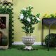 Urn Flower Pot Kd1913Ws