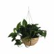 Hanging Flower Pot - Beige