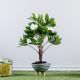 Ceramic
  Planters
  With Beech
  Wood Legs - Wrp17-15 Mixed Blue
  With Gold
  Line