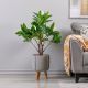 Magnolia W/Pot F868Kc - 90Cm