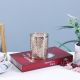 Ss21 Luminara Electroplated Jar Candle Champagne Party 230G 8X10Cm Gold Bl0810Gh