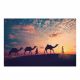 Ss20 Lorena Sunset Camel Trekking Stretched Canvas 80X120Cm Mk-1012-Camel-80120