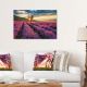 Ss22 Diana Sunrise Lavender Field Tempered Glass Wall Art 60X40X0.4Cm S35124