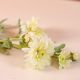 Rejoice White Wild Chrysanthemum L66Cm L21836/WH