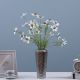 Rejoice White Cosmos L78Cm L21821/WH