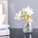 Aw21 Rejoice White Narcissu Vase H16Cm L22071/Wh