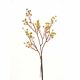 Aw21 Rejoice Green Berry Branch L65Cm L18111/Gr