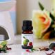 Orchid Burner Oil 10ml- Rasp & Guava